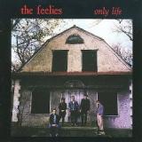 FEELIES