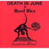 DEATH IN JUNE