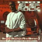 BIG SLEP ROCK BIG SLEP ROCK