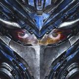 FIRST DEGREE THE D.E.