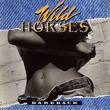 WILD HORSES WILD HORSES