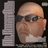 KNIGHT OWL KNIGHT OWL