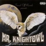 MR. KNIGHT OWL