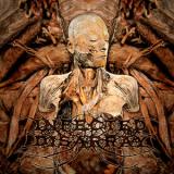 INFECTED DISARRAY INFECTED DISARRAY