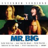 MR. BIG MR. BIG