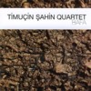 SAHIN TIMUCIN