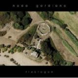 NODO GORDIANO