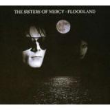 SISTERS OF MERCY