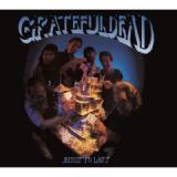 GRATEFUL DEAD