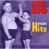 MR.BIG MR.BIG