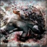 SUBARACHNOID SPACE