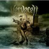 NERVECELL NERVECELL