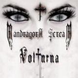 MANDRAGORA SCREAM