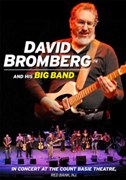 BROMBERG DAVID