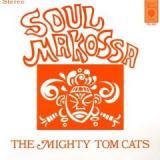 MIGHTY TOM CATS