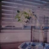 JANDEK