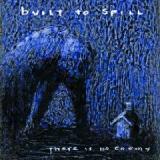 BUILT TO SPILL