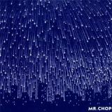 MR. CHOP