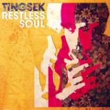 TINGSEK