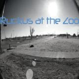 RUCKUS AT THE ZOO