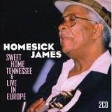 HOMESICK JAMES