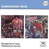 DANGEROUS TOYS