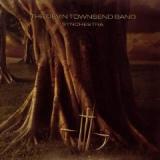 DEVIN TOWNSEND BAND