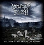 SCOURGED FLESH