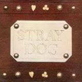 STRAY DOG