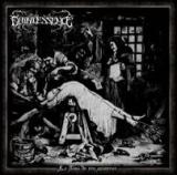 QUINTESSENCE