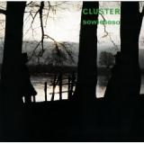 CLUSTER