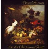 PROCOL HARUM