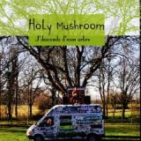 HOLY MUSHROOM