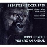 SEBASTIEN TEXIER TRIO