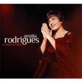 RODRIGUES AMALIA