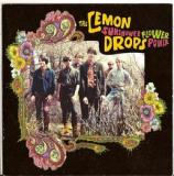LEMON DROPS