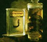 LOWDOWN