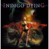 INDIGO DYING INDIGO DYING