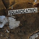 SQUARCICATRICI