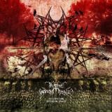 PRIMITIVE GRAVEN IMAGE