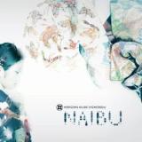 NAIBU