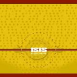 ISIS
