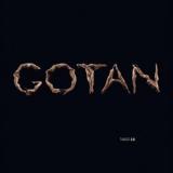 GOTAN PROJECT
