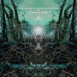 SOUND OF ANIMALS FIGHTING