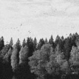 OCTOBER FALLS OCTOBER FALLS