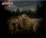 MY JERUSALUM