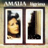 RODRIGUES AMALIA