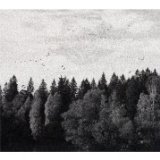 OCTOBER FALLS