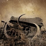 CLINGING TO THE TREES OF A FOREST FIRE