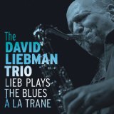 LIEBMAN DAVID